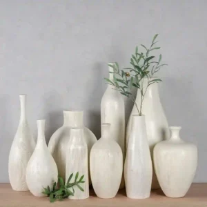 Saji Home ساجي هوم